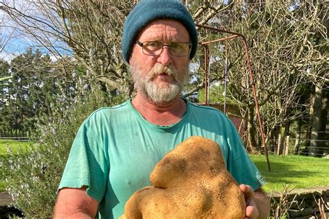 New Zealand claim to world's largest potato is actually a tuber - ABC News