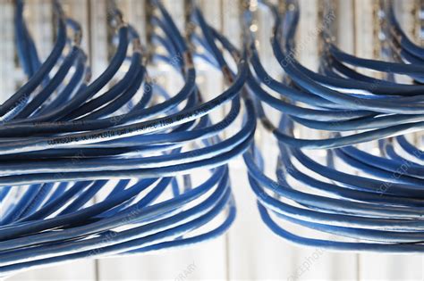 Computer cables - Stock Image - F033/7122 - Science Photo Library