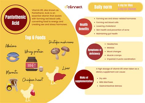 Vitamin B5 Pantothenic Acid Dconnect