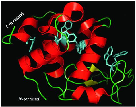 Schematic Diagram Of Hen Egg White Lysozyme Pdb Id Hub The Helices