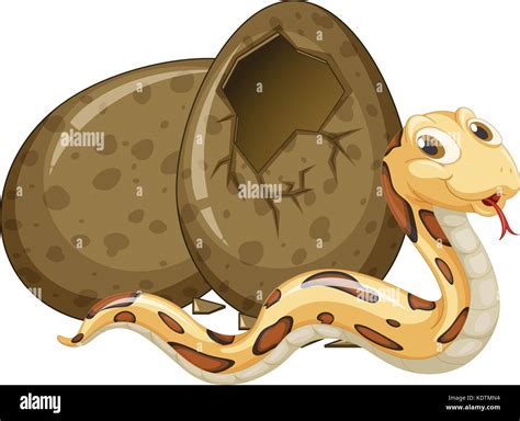 Snake eggs hatching hi-res stock photography and images - Alamy