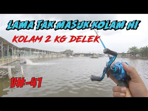 Mencari Ketuk Di Kolam Kg Delek Santai Fishing V Casterboy