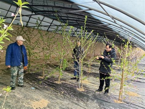 林果花卉研究所在秦安县开展“三区”科技培训 甘肃省农业科学院 林果花卉研究所