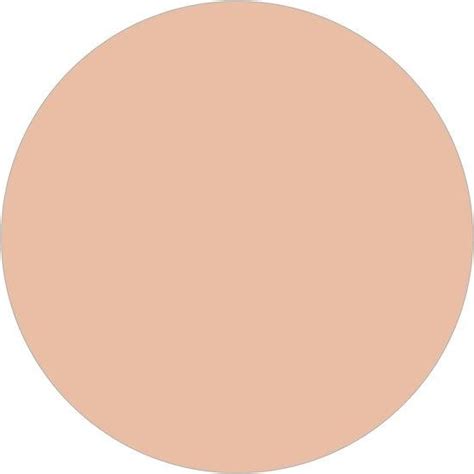 L Oréal Paris True Match Foundation Powder C1 Ivory Rose Onlinevoordeelshop