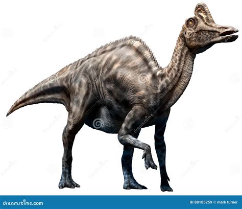 Dinosaur Velafrons And Pterosaur Quetzalcoatlus Royalty-Free Cartoon ...