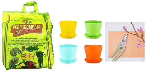 Kraft Seeds Plastic Flower Pots Cm Multicolour Pieces