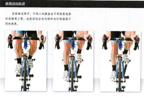 Phil Burt（菲尔·伯特）《bike Fit 骑行姿势设定指南》精要