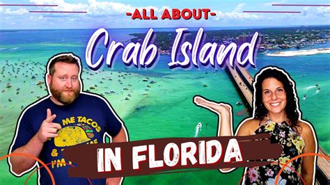 All Things You Need To Know About Crab Island In Destin Florida Crab