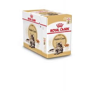 Royal Canin Maine Coon Adult Cibo Umido Per Gatto Brekz It