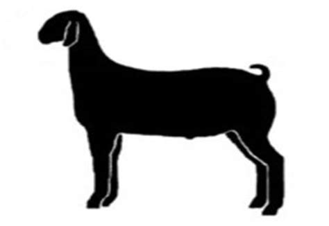 Boer Goat Silhouette | Free download on ClipArtMag