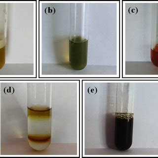 Images Of Results Of Qualitative Tests For A Saponins B Phenols