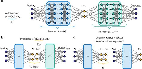 Diagram Of Our Deep Learning Schema To Identify Koopman Eigenfunctions