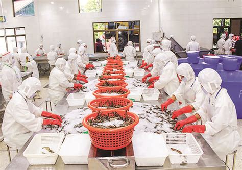 Myanmar Earns Nearly Us850mln From Fishery Export In 2019 2020fy