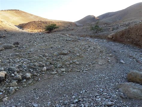 Does a Jordan Valley Site Reveal the Origin of Ancient Israel ...