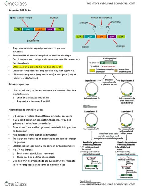 BIOL 200 Lecture Notes Fall 2015 Lecture 14 Heterochromatin