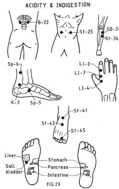 106 Best Reflexologia Acupresión Digitopuntura Masajes Images On Pinterest Massage