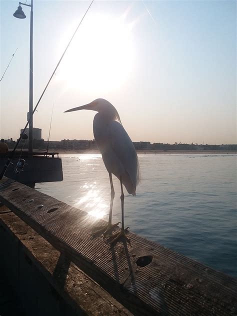 Wald Pussy Waldpussy Twitter