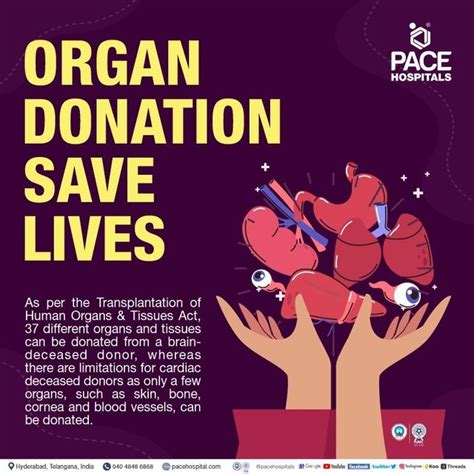 Organ Donation Types Process Registration Importance 45 Off