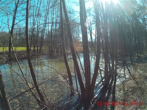 Laufen Trailrun Gerbrunn Zeubelrieder Moor Tour