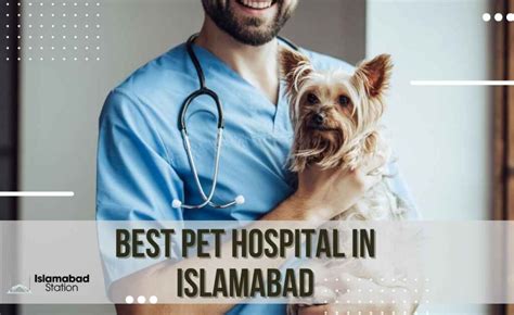 Best Pet Hospital In Islamabad 2024 Islamabad Station