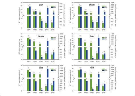 | Quantitative analysis of GFP and GUS expression in various tissues of ...