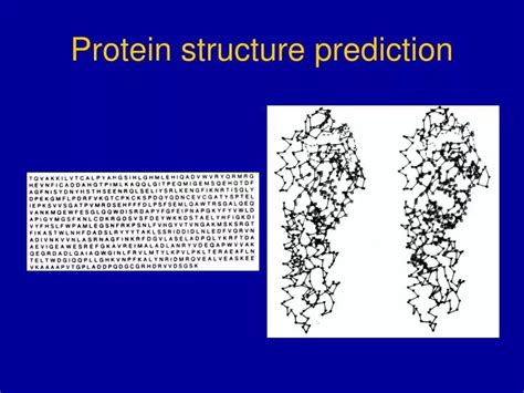 Ppt Protein Structure Prediction Powerpoint Presentation Free Download Id 2150673