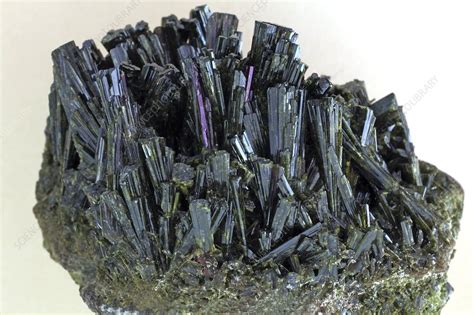 Epidote mineral sample - Stock Image - C007/8564 - Science Photo Library