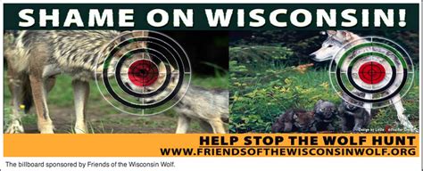 Stop Wolf Hunts Wisconsin Wolves Actions News