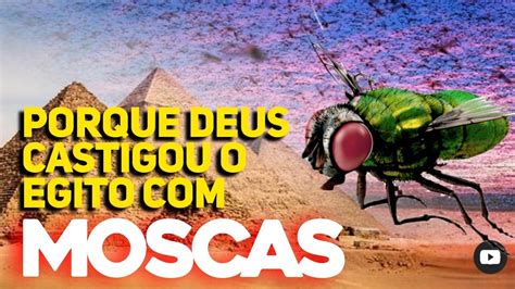 As Pragas Do Egito A Verdade Sobre A Quarta Praga I As Moscas