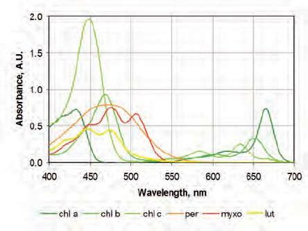 Photosynthetic Pigments Absorption Spectrum