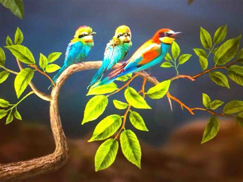 Birds, Bees, and the Bubonic Plague - Plain and Fancy Girl