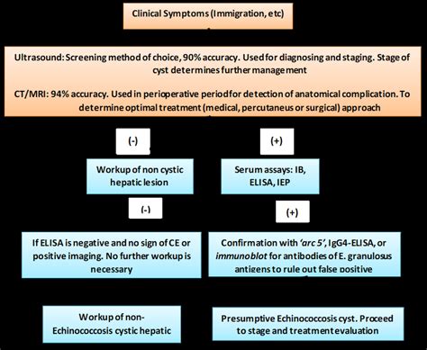 Diagnostic Algorithm Of Cystic Echinococcosis 10 Download Scientific Diagram