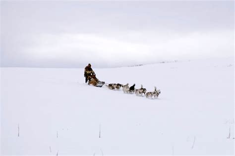 The Great Alaskan Race (2019) by Brian Presley