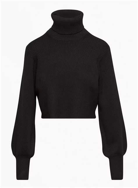 Wilfred Rebecca Turtleneck Aritzia Us