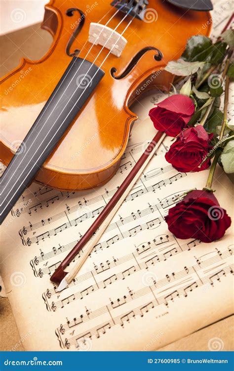 Beautiful Roses And Violin Royalty Free Stock Photo Image 27600985