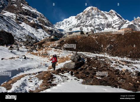 Trekking in Nepal Himalayas Stock Photo - Alamy