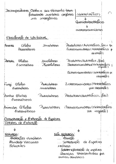 Solution Biologia Ano Studypool