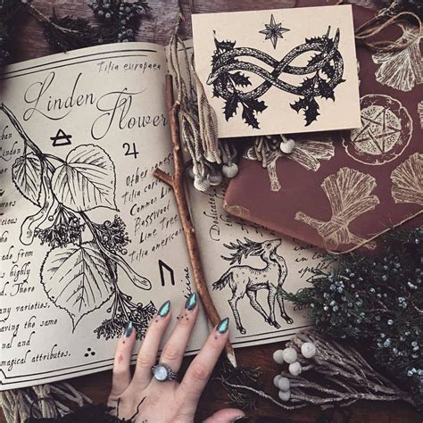 Craft Of The Witch Witch Witchcraft Witch Aesthetic