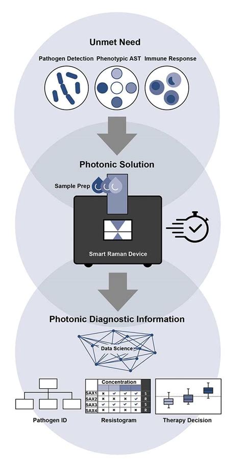 Raman Spectroscopic Method Diagnoses Infection At The Point Of Care