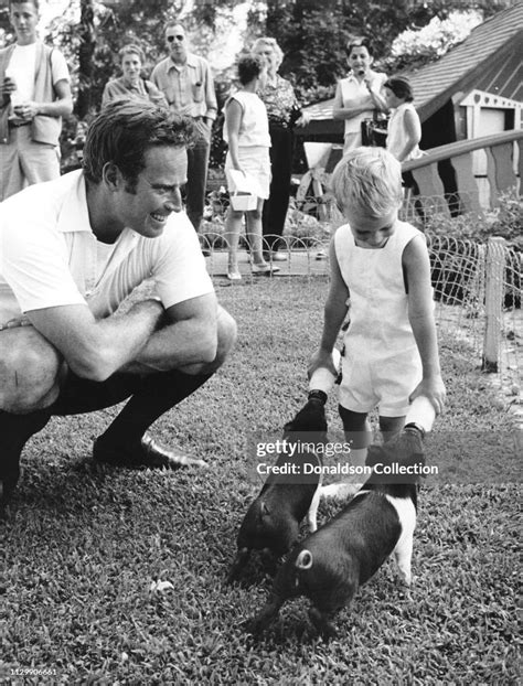 Actor Charlton Heston And His Son Fraser Clarke Heston Feed 2 Pigs In