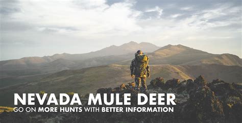 Nevada Mule Deer Hunting 2024 | Draw Odds, Tags, Season Info, Deadlines, and Results