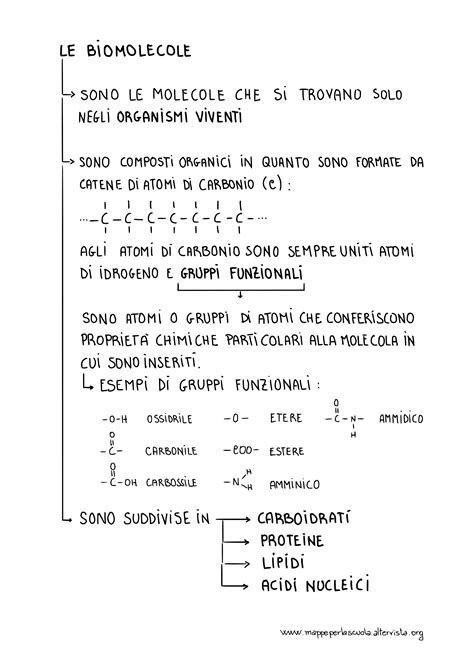Le Biomolecole Mappe Per La Scuola