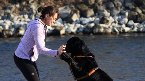 Come Si Svolge Una Seduta Di Pet Therapy La Rivista Della Natura