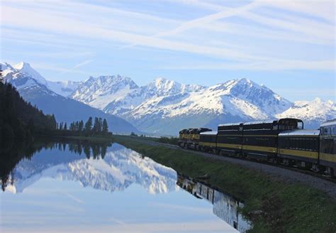 Best Denali National Park Excursions & Tours | Alaska Shore Excursions