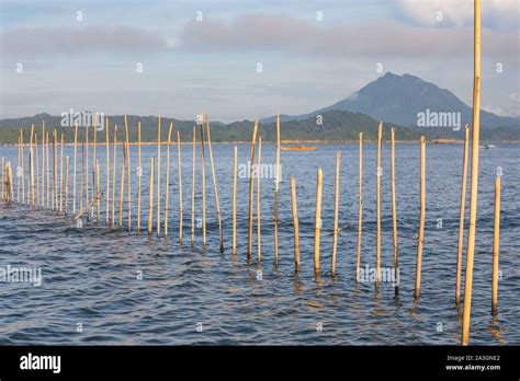 Philippines Palawan Malampaya Sound Protected Landscape And Seascape