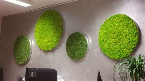 Moss Pictures Moss Wall Design Moss Walls And Moss Pictures Made In