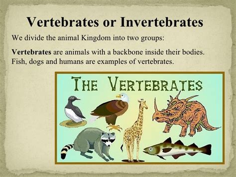 Vertebrates