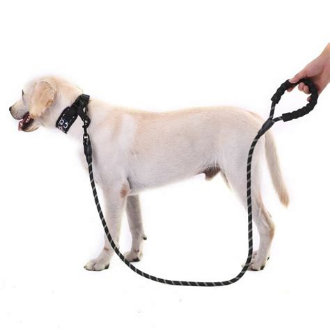 Dog Leash 1.2cm (up to 100kg) - Vet Remedies - Pet Products