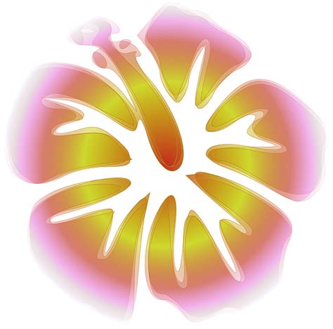 Pink Hibiscus Png