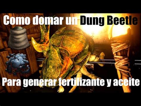 Steam Community Video Como Domesticar Un Dung Bettle Para Generar